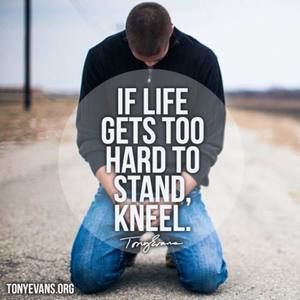 Meet your Posher, Sophia